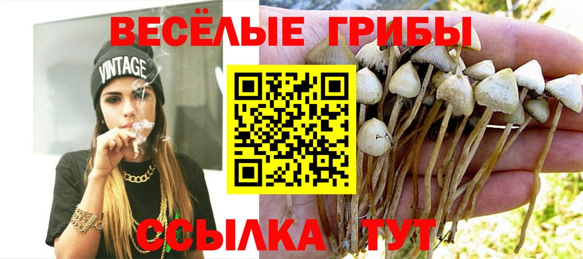 Галлюциногенные грибы Magic Shrooms  Вход с VPN  закладка  Лыткарино  Галлюциногенные грибы Psilocybine cubensis 