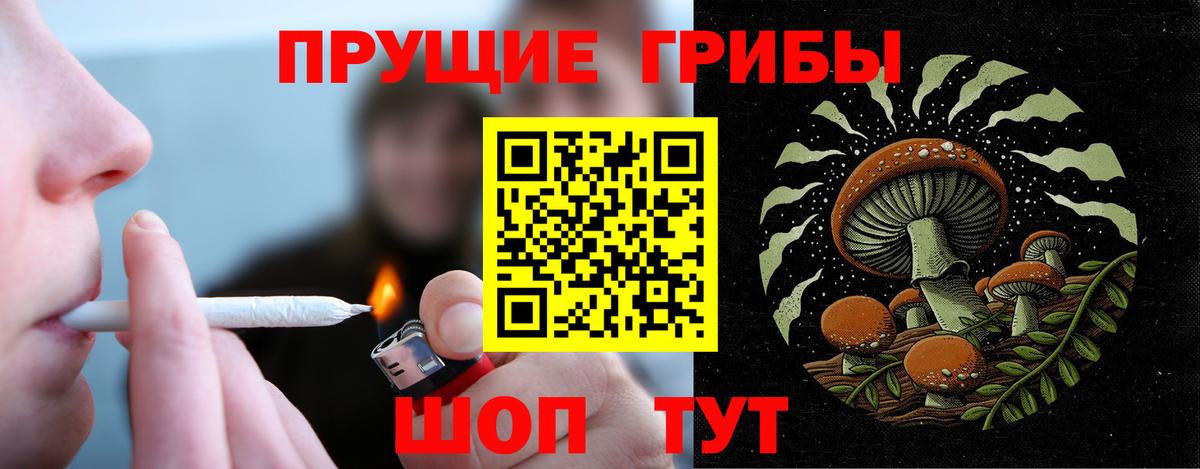 Галлюциногенные грибы GOLDEN TEACHER Лыткарино